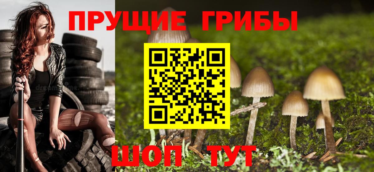 Галлюциногенные грибы MAGIC MUSHROOMS  где купить наркоту  Нижнекамск  Вход с VPN 